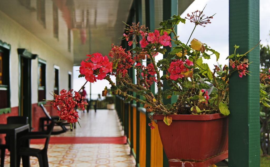 Hostal Casa De Los Taitas Саленто Екстер'єр фото